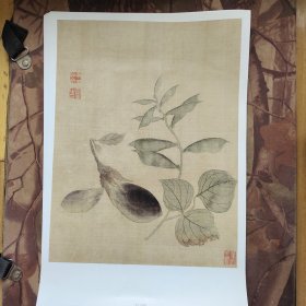 画页40张