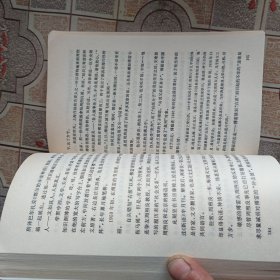 历史在这里沉思 1966一1976年记实 (3)