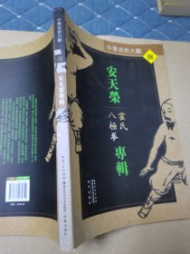 安天荣专辑：霍氏八极拳