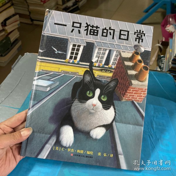 耕林绘本：一只猫的日常（告诉孩子什么是勇气）