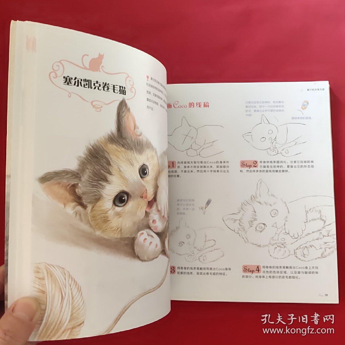 猫咪绘：33只萌猫的色铅笔图绘