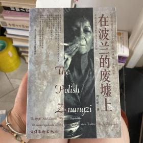 在波兰的废墟上：辛波丝卡的诗歌艺术与文化传统