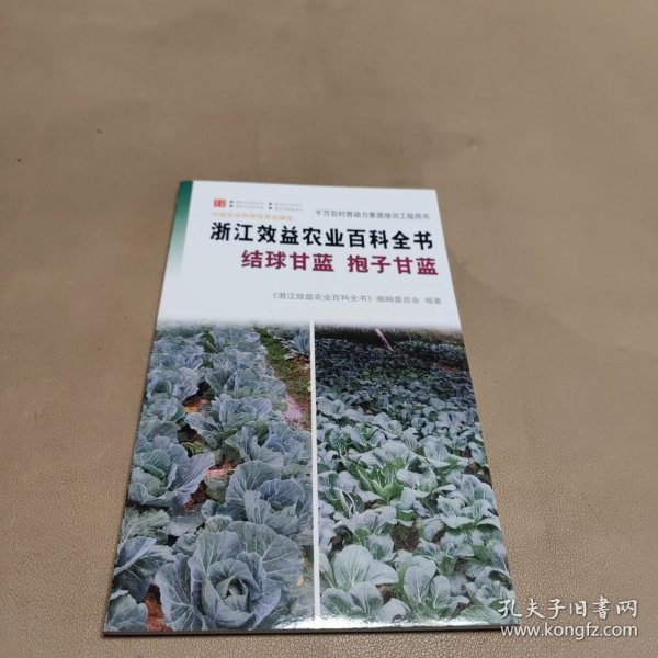 浙江效益农业百科全书 结球甘蓝抱子甘蓝