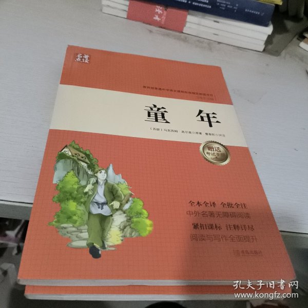 童年（无障碍阅读）/名著点读