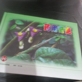 药用奇葩（各类药用植物的开花形态）