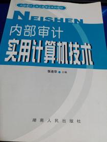 内部审计人员上岗考试系列教材内部审计实用计算机技术