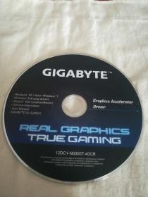 GlGABYTE （正版光盘裸碟1张 ）