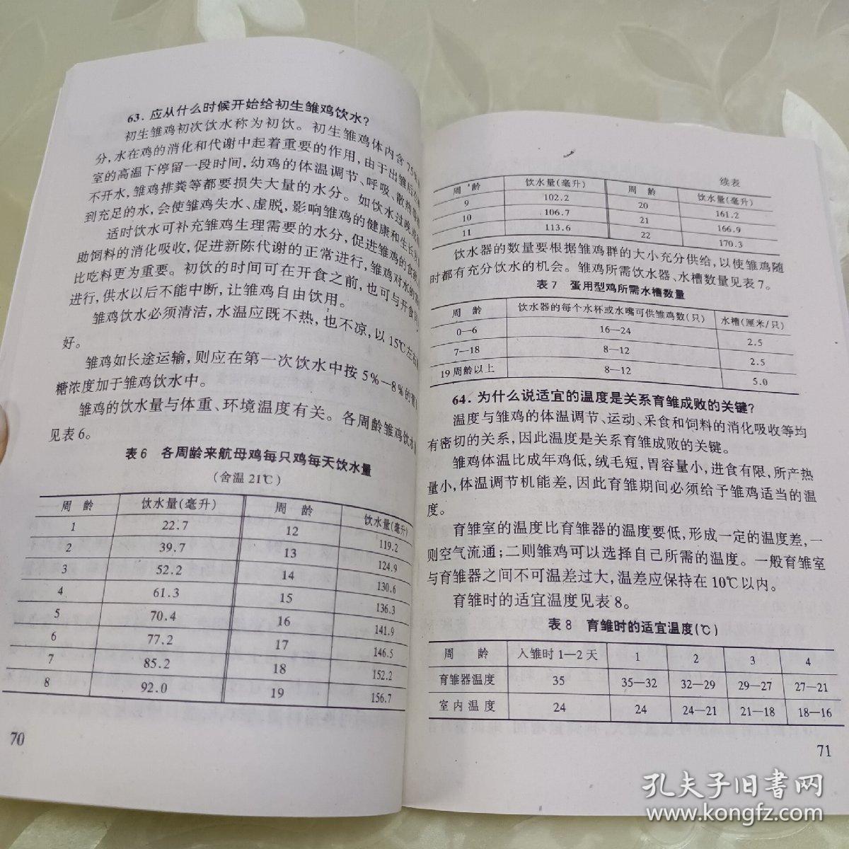 蛋鸡高产饲养问答