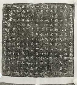 ​大唐云台郡司食参军崔公夫人卢氏墓志铭并序 尺寸30CM 卢氏出身盛门，嫁于崔公。大姓联姻，奈何早逝。 字体娟秀古朴