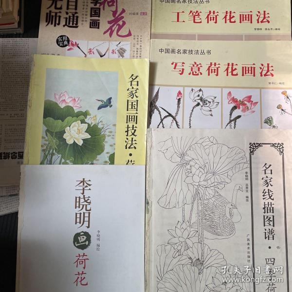 名家国画技法荷花画谱，没有前后书皮，内容完好