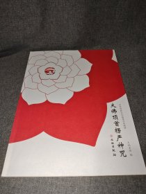 中华传统文化临摹字帖精粹：大佛顶首楞严神咒