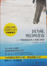 因为痛，所以叫青春：写给独自站在人生路口的你