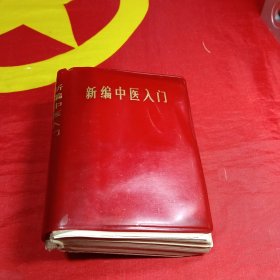 新编中医入门