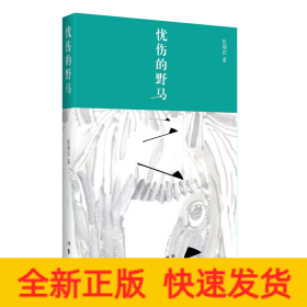 忧伤的野马