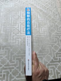 抑郁的自我疗法：用接受与实现疗法走出抑郁