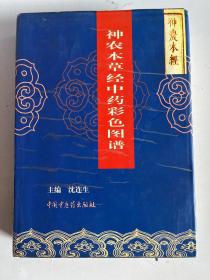 神农本草经中药彩色图谱    115--132这几页原装订不齐