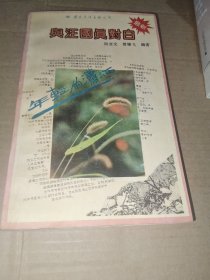 年轻的潇——与汪国真对白