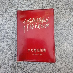中央慰问团赠慰问纪念册