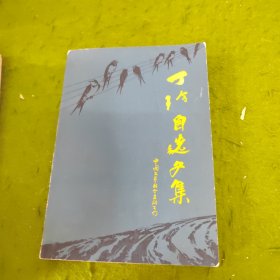 丁玲自选文集