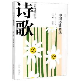 2020中国诗歌精选  王蒙主编 23年坚守文学年选