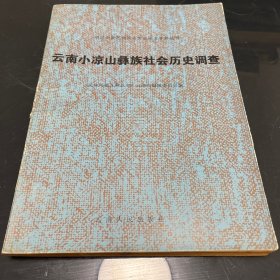 云南小凉山彝族社会历史调查 1984版