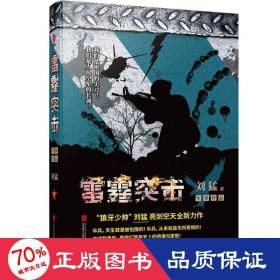 雷霆突击 历史、军事小说 刘猛