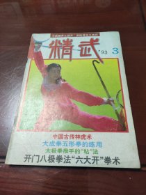 精武1993年3