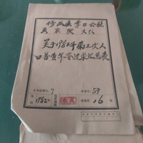 大队管委会关于1982年第三次人口普查年龄过录汇总表