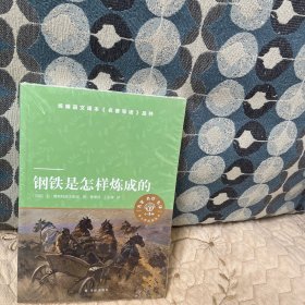 天猫文库：钢铁是怎样炼成的