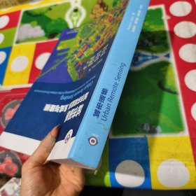 城市遥感:城市环境监测集成与建模