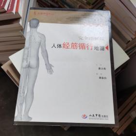 人体经筋循行地图