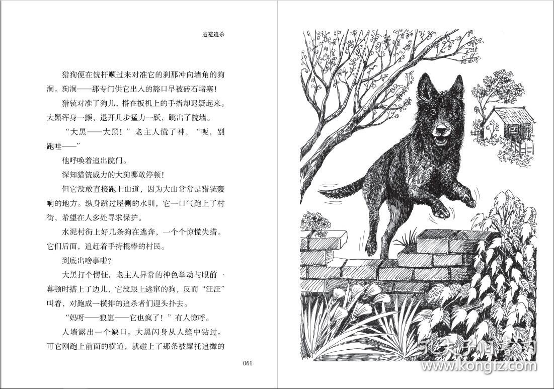 牧铃生态动物小说馆·犬王大黑