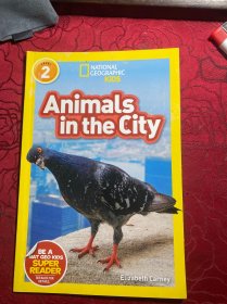 英文原版National Geographic Kids Readers:Animals in the City城市里的动物 国家地理分级阅读Level 2