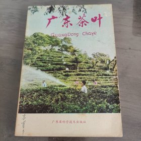 广东茶叶
