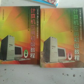 计算机应用初级教程上下册2本合售如图