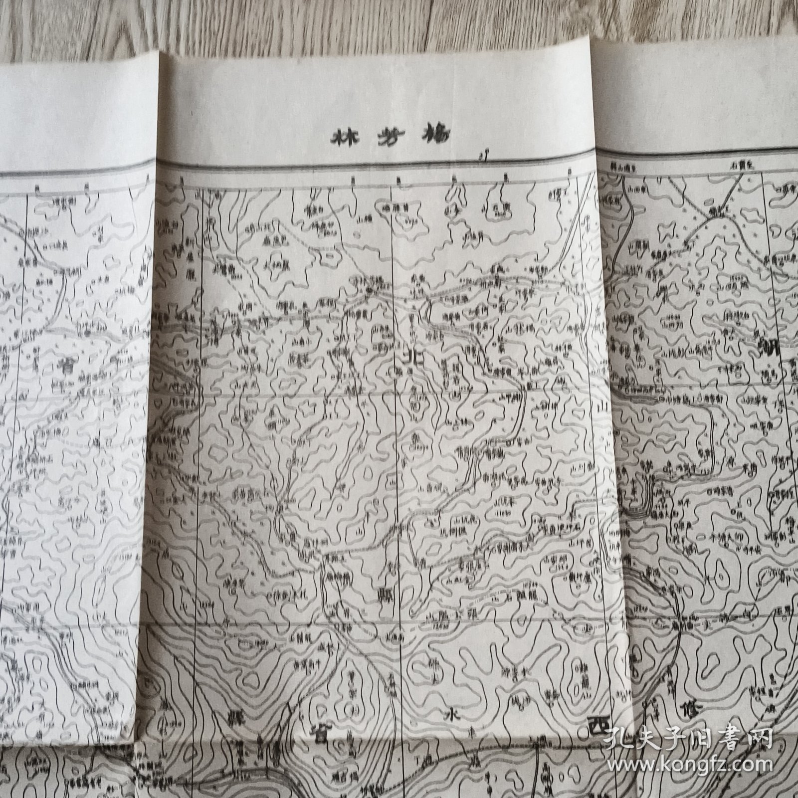 民国地图“杨芳林”