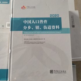 2020中国人口普查分乡.镇.街道资料