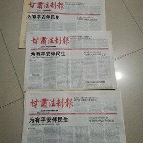 甘肃法制报(2007年6月6日)3份