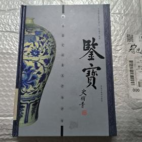 鉴宝：瓷器鉴定秘要及市场评估（上册）