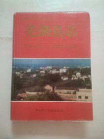 芜湖县志 “精装本”