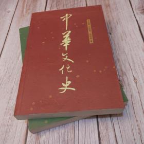 中华文化史（上下）