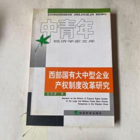 西部国有大中型企业产权制度改革研究