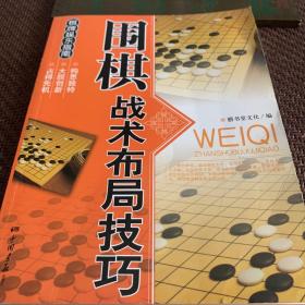 休闲娱乐大观：围棋战术布局技巧