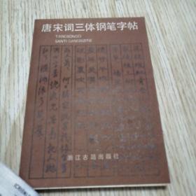 唐宋词三体钢笔字帖   私藏 直板直角 近乎未翻阅 自然旧斑 实物拍图品相自鉴  一版一印 萧学远签赠