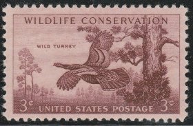 美国   1956  濒危野生动物 鸟类  火鸡