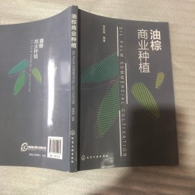 油棕商业种植