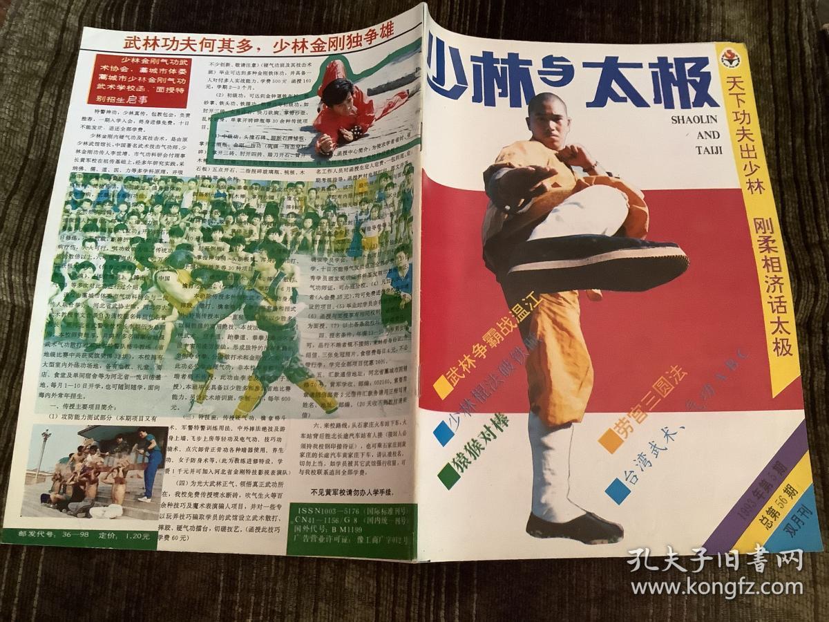 少林与太极 1993 5