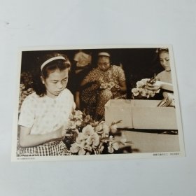明信片。1958年香港塑胶花厂的女工。这是香港由手工业向工业化发展的真实写照。