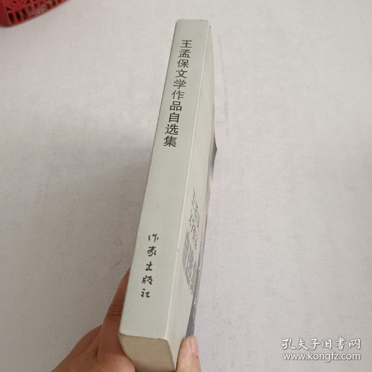 王孟保文学作品自选集