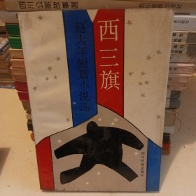 赵大年短篇小说选 西三旗